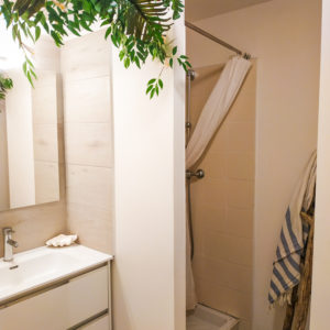 La salle d'eau - Studio Pied à Terre Sainte - Location courte durée à St Pierre, la Réunion